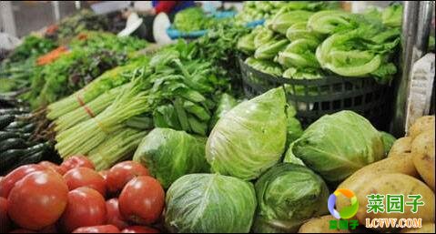 深圳蔬菜配送关注蔬菜上市量和菜价基本没影响