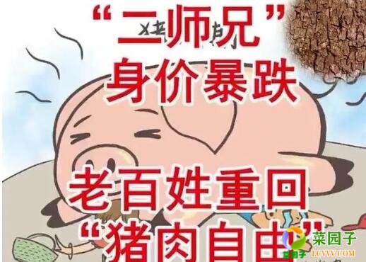 深圳农副产品配送了解猪肉价格“坐滑梯” 跌回“10元时代”