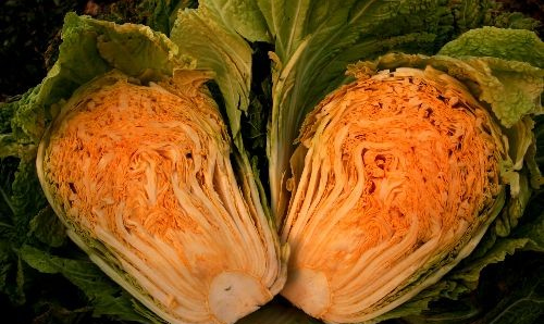 农产品配送了解巴彦淖尔市农科所引种橙色白菜获得成功